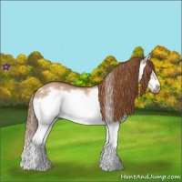 Horse Color:Red Dun Roan Splash Frame Rabicano 