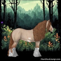 Horse Color:Red Dun Roan Splash Frame Rabicano 