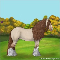 Horse Color:Red Dun Roan Splash Frame Rabicano 