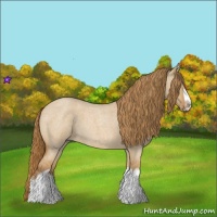 Horse Color:Red Dun Roan Splash Frame Rabicano 