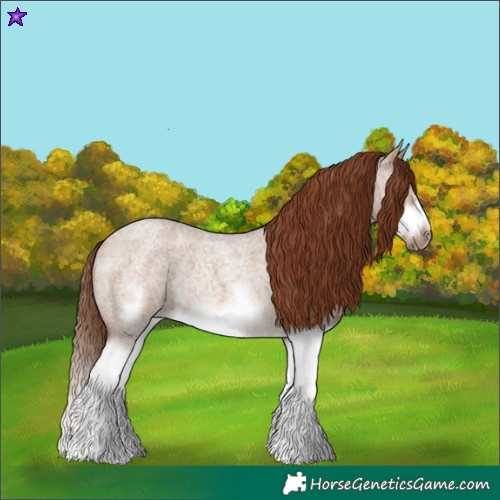 Horse Color:Red Dun Roan Splash Frame Rabicano