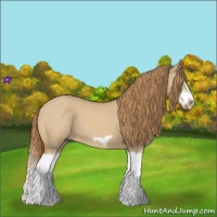 Horse Color:Red Dun Roan Splash Frame Rabicano 