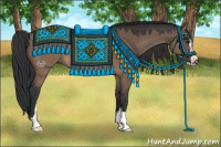 Horse Color:Brown Dun Sabino 