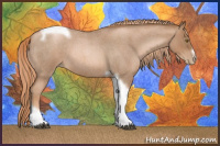 Horse Color:Liver Red Roan Pearl Tobiano Frame 