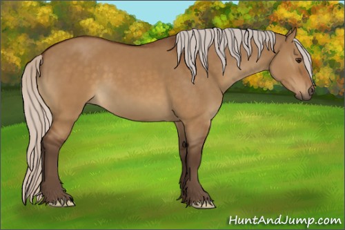 Horse Color:Silver Buckskin Dun Sabino 