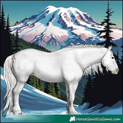 Horse Color:Silver Brown Dun Appaloosa 