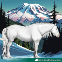 Horse Color:Silver Brown Dun Appaloosa 