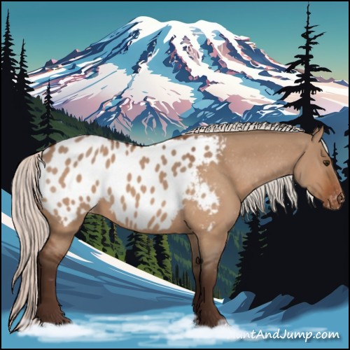 Horse Color:Silver Brown Dun Appaloosa 
