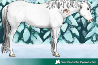Horse Color:White Spotted Brown Splash Tobiano 