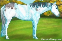 Horse Color:Thunderstruck White Spotted Chocolate Brown Ice Splash 