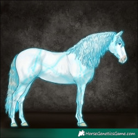 Horse Color:Thunderstruck White Spotted Liver Chestnut Ice Pearl Splash Appaloosa Rabicano 