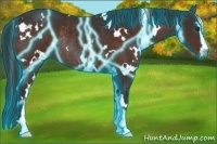 Horse Color:Thunderstruck White Spotted Brown Sabino Rabicano 