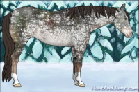 Horse Color:Liver Chestnut Ice 