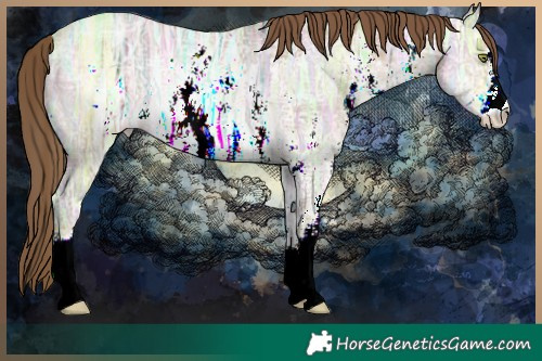 Horse Color:Liver Chestnut Ice Pearl Sabino Rabicano 