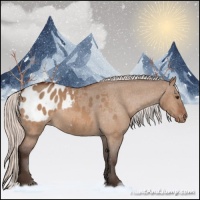 Horse Color:Silver Brown Dun Appaloosa 