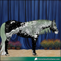 Horse Color:ERROR: UNKNOWN ANOMALY