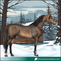 Horse Color:Buckskin Tobiano 