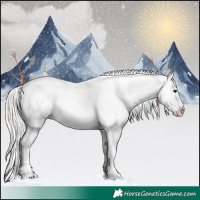 Horse Color:Silver Brown Dun Appaloosa 