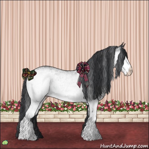 Horse Color:White Spotted Black 