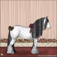 Horse Color:White Spotted Black