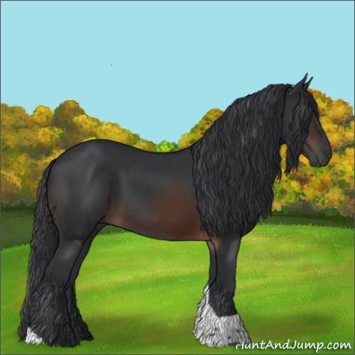 Horse Color:Brown Tobiano