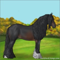 Horse Color:Brown Tobiano 