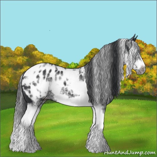 Horse Color:White Spotted Black Splash Tobiano Frame Appaloosa