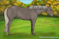 Horse Color:Silver Black 