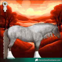 Horse Color:Liver Red Roan 