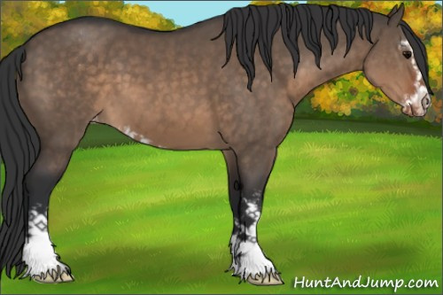 Horse Color:Brown Dun Sabino Varnish