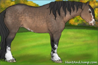 Horse Color:Brown Dun Sabino Varnish 
