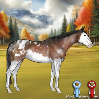 Horse Color:Bay Splash Appaloosa Rabicano 