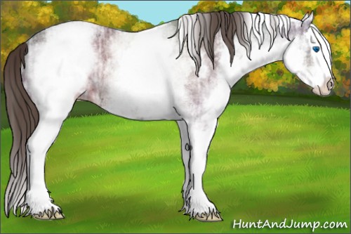 Horse Color:White Spotted Liver Chestnut Ice Splash 