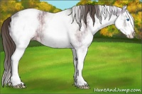 Horse Color:White Spotted Liver Chestnut Ice Splash 