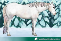 Horse Color:Nacre Chocolate Palomino Splash Snowcap Rabicano 