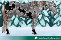 Horse Color:White Spotted Liver Chestnut Ice