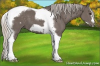 Horse Color:Silver Black Tobiano Frame 
