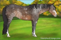 Horse Color:Buckskin Sabino 