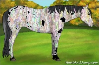 Horse Color:White Spotted Brown Ice 