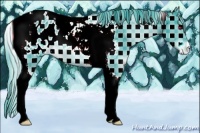 Horse Color:Plaid  Liver Chestnut Chinchilla Tobiano Appaloosa 