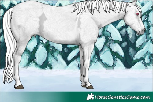 Horse Color:Liver Chestnut Chinchilla Ice Tobiano 