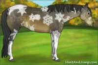 Horse Color:Brown Ice Tobiano 