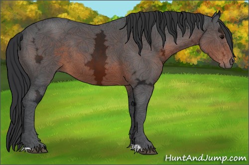 Horse Color:Brown Ice Sabino
