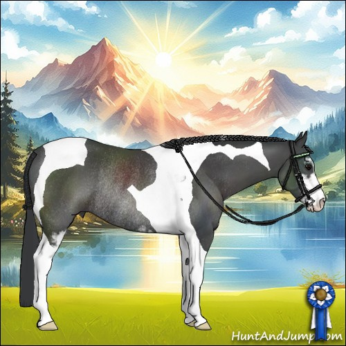 Horse Color:Black Sabino Tobiano Rabicano 