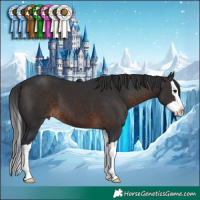 Horse Color:Brown Splash