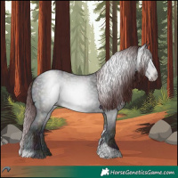 Horse Color:Gray Midnight Chocolate Sable Champagne Chinchilla Roan Onyx Tobiano 