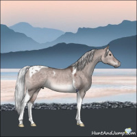 Horse Color:Platinum Silver Brown Dun Tobiano 