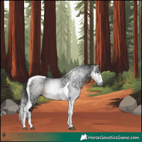 Horse Color:Gray Brown Splash Tobiano 