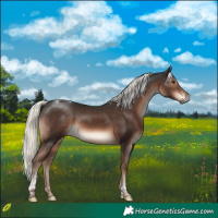 Horse Color:Liver Chestnut Mushroom Tobiano 