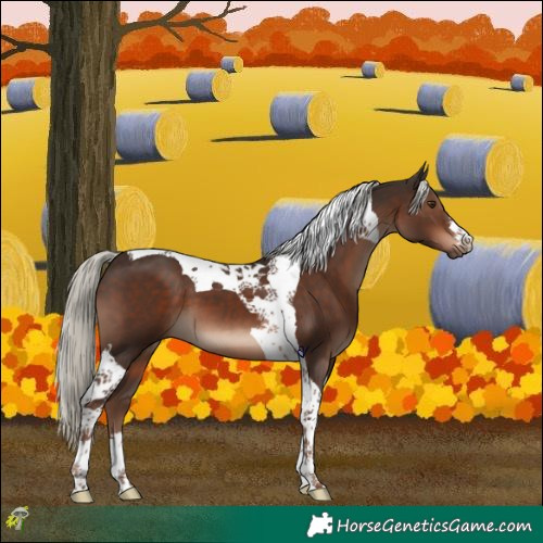 Horse Color:Liver Chestnut Mushroom Tobiano 
